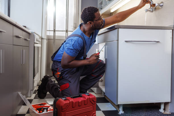 Best Plumbing Inspection Services  in Strum, WI